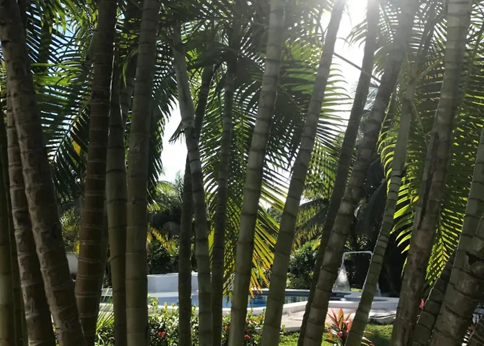 El Capitan Hotel 3*